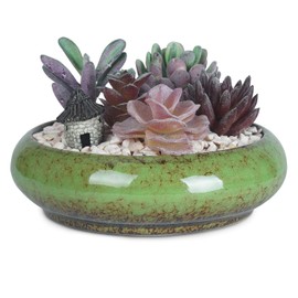 ARTKETTY Succulent Pots - 7.3 Inch Ceramic Bonsai Pots with Drainage Tray, Large Shallow Succulent Planters for Indoor Cactus Plants Decorative Flower Plant Container Bowl