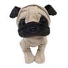 puremiamupapi- Plush Medium Pug 座高 16 cm