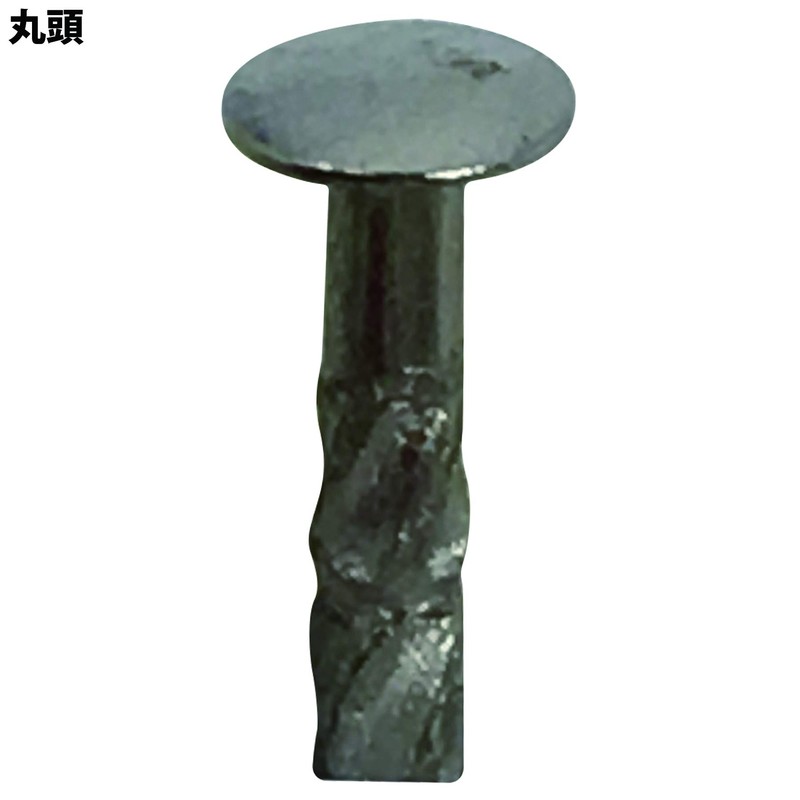 Daidohant 10179666 Stainless Steel Power Screw Nails, Round Head (Diameter: