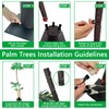 SOSHOT 6FT Solar Lighted Palm Trees for Outside Patio Light