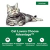 Advantage Topical Cat Flea Treatment and Prevention for Large Cats