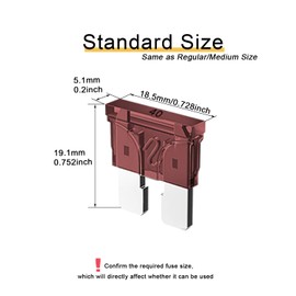 Riseuvo 20pcs 40A Standard Car Fuses - 40 AMP Automotive Fuses(ATO/APR/ATS), 32V (12/24V) Blade Fuse for RV/Truck/SUV