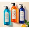 CLABO 딥클린 샴푸 트로피칼 시트러스, 960ml, 2개 CLABO Deep Clean
