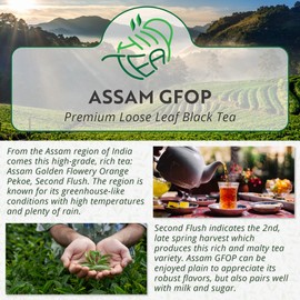Assam GFOP Premium Loose Leaf Black Tea – Second Flush Golden Flowery Orange Pekoe (100g, Assam GFOP)