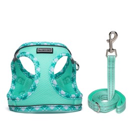 Mercano Soft Mesh Dog Harness and Leash Set, No-Chock Step-in Reflective Breathable Lightweight Easy Walk Vest Harnesses with Safety Buckle for Small Dogs, Cats (Light Green, S)