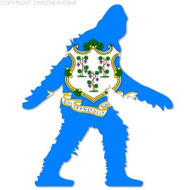 OwnTheAvenue Connecticut Bigfoot CT Big Foot Sasquatch Car Truck Window Bumper Decal Sticker