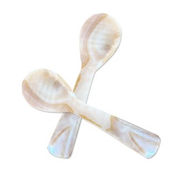 2 Pack 4.33inch Caviar Spoons Handcraft Mother of Pearl MOP Caviar Spoon W Round Handle with One Plastic Storage Box, Coffee Color