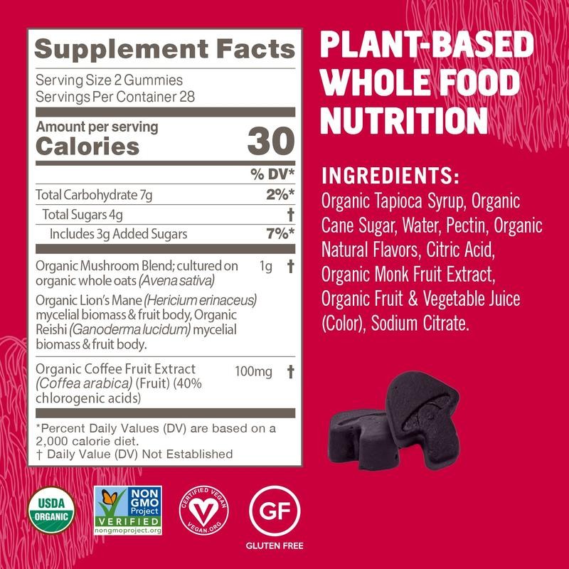 Brain Fuel+ Mushroom Gummies