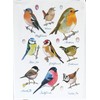 Half a Donkey Popular Garden Birds Large Cotton Tea Towel