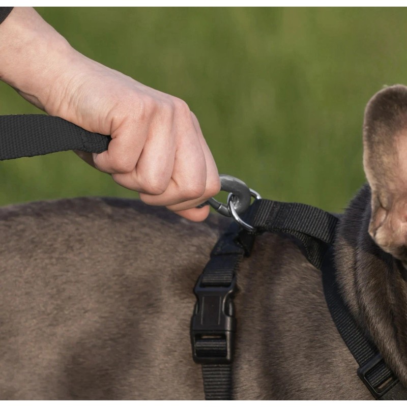 Vibrant Life Mesh Adjustable, Reflective Dog Harness, Black, Medium Paw