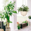 Natural Hanging Seagrass Plant Baskets Dural Layer Flower Planting Basket