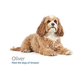 WHZG Multipurpose, Easy To Wear, Soft And Comfortable, Pink