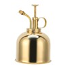 Professional Stainless Steel Watering Can with Top Pump for Succulent