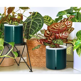 D'vine Dev 6 Inch Design Self Watering Planter for Indoor Plants, White Terracotta Pots with Teal Cylinder Glass Cup, Set of 2, 376-B-2