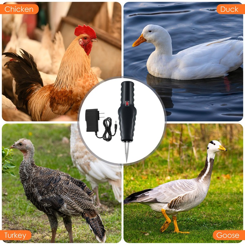 1 Pack Handheld Chicken Plucker, Electric Quick Poultry Plucker Machine