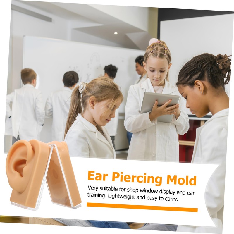 Baluue Ear Piercing Model Display Platform Accurate Human Ear Canal