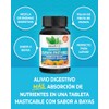 Zenwise Digestive Enzymes - Probiotic Multi Enzymes with Probiotics and