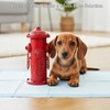 YiLifebes Small Dog Fire Hydrant Pee Post, 9" H Metal