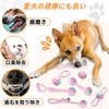 CANPLUS 7 Pack Dog Toy, Popular, Chewing, Rope, Rope, Ball,
