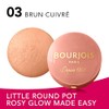 Blush - # 03 Brun Cuivre by Bourjois for Women