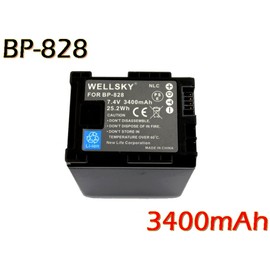 WELLSKY BP-828 BP-280 互換バッテリー 3400mAh 2個 + CG-800 CG-800D [超軽量] USB Type-C 急速 互換充電器 バッテリーチャージャー 1個 [ 残量表示可能 純正品と同じよう使用可能 ] キヤノン iVIS アイビス XA11 XA10 XA15 XA20 XA25 XA30 XA35 XA40 XA55 XF400 XF405