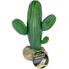 Multi Pet 48593324: Komodo Cactus Plant Saguaro, 9.5In