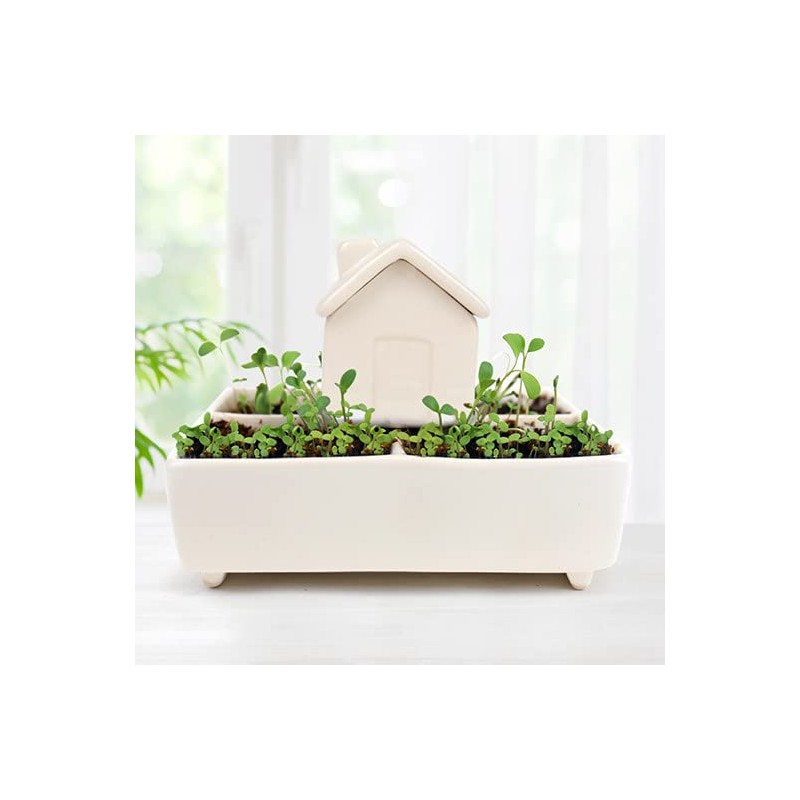 Gift Republic Self Watering Plant House