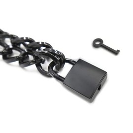 Succuba Heart Padlock Necklace Metal chain Collar Choker Necklace with Lock and Key for Women and Men 16 In (C)