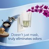 Febreze PLUG Air Freshener Refill with Downy April Fresh (1