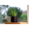 PlantMe Smira Smiles Flower Pot (6 cm, Black)