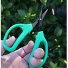 PRO 420 Classic Scissors