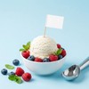 100PCS Blank Toothpick Flags, Mini Food Labels for Buffets Blank