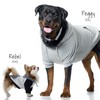 Pet Passion Rocky II - The Extra Plush Comfy Hoodie,