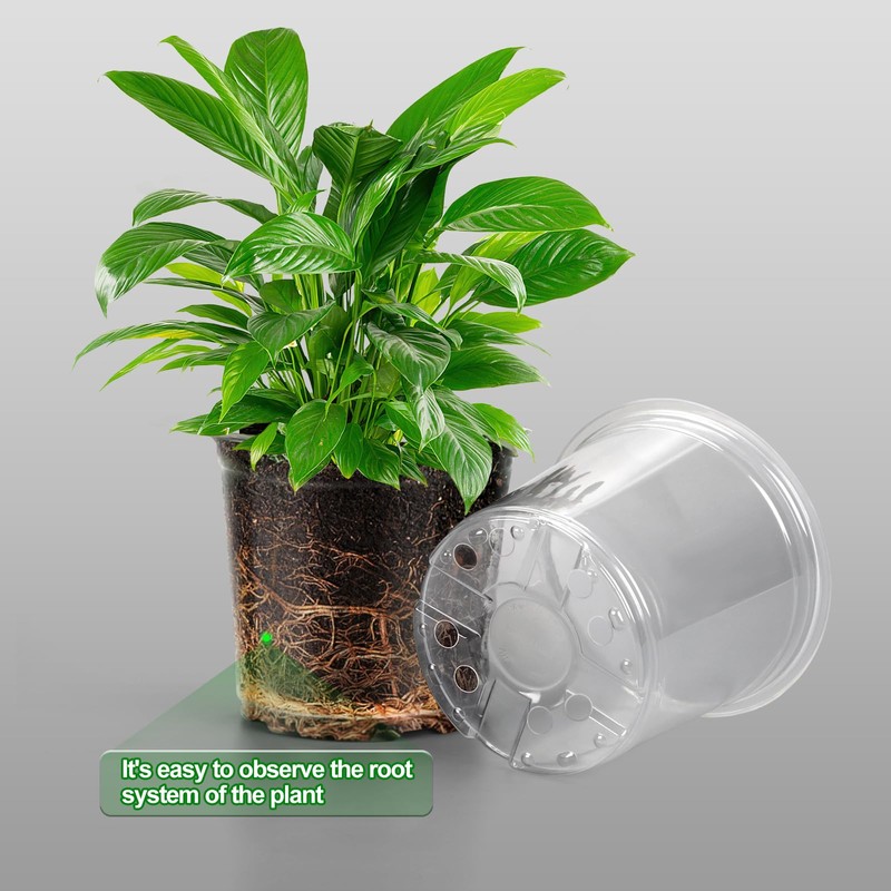 OUPSAUI 36 Pack 7/6/5/3.5 Inch Clear Nursery Pots with Drainage,