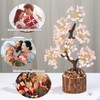 XIANNVXI Rose Quartz Stone Tree Gemstones Crystal Tree Crystals Pink