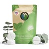 Terra Essentials Pastillas de Ducha de Eucalipto (12 Unidades) –