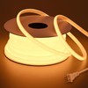 BENLUN AC 110V COB LED Strip Lights Outdoor Waterproof 65.6ft,