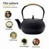 Big Cast Iron Teapot, Japanese Tetsubin Tea Kettle for Stovetop