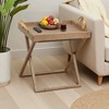 Klabelle Folding TV Tray Table - Portable Camping Side Tables