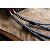SVS SoundPath Ultra Bi-Wire Speaker Cable with Banana Connectors –