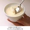 Nonoji CUT-SU-07 Ice Spoon
