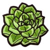 Succulent Plant Patch Aloe Embroidered Iron On