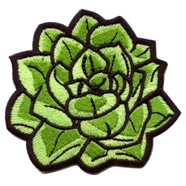 Succulent Plant Patch Aloe Embroidered Iron On