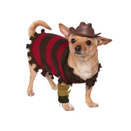 A Nightmare on Elm Street: Freddy Krueger Pet Costume for Dogs or Cats by Rubies, Small