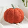 EXQUILEG 3D Plush Pumpkin Decorative Cushion Pillow Birthday Gifts Seat