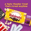 Raisinets, Dark Chocolate Covered California Raisins, Movie Theater Candy Box,