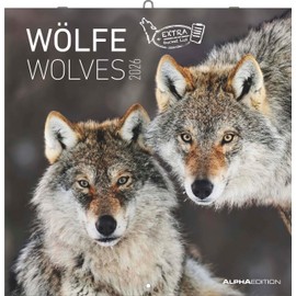 Alpha Edition - Wolves Calendar 2026 - Wall Calendar & Picture Calendar 30 x 30 cm (30 x 60 cm Open) with Fascinating Wolf Photographs, for Nature Lovers & Animal Lovers: Wolves
