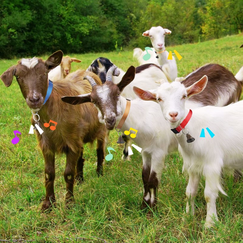 12 Sets Goat Collars with Bells Horse Sheep Grazing Cow