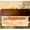 Imkerei Beck® - Bee Bread/Perga Fermented Open-minced Flower Pollen from