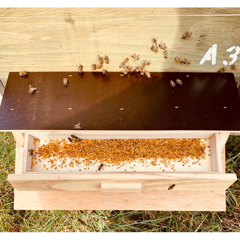 Imkerei Beck® - Bee Bread/Perga Fermented Open-minced Flower Pollen from